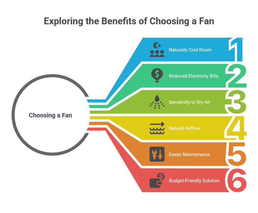 Exploring the Benefits of Choosing a Fan